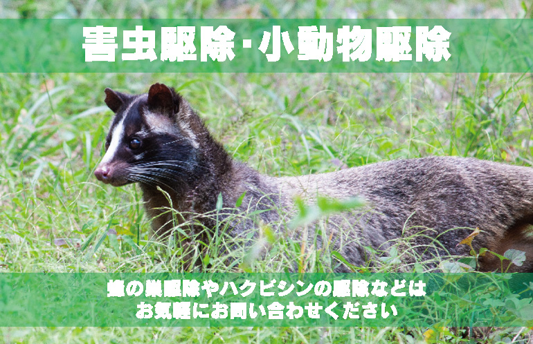 害虫駆除・小動物駆除